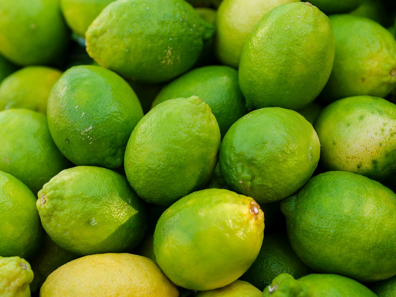 Sun-Ripened Himalayan Citrus on Branch